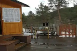 Медвежьегорск, финские укрепления и природа Карелии - 12