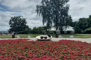 Прогулка по губернскому Владимиру и вишнёвая дегустация