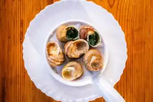 Экскурсия по улиточной ферме в Сочи Экскурсия по улиточной ферме в Сочи