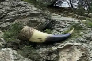 Осетинские выходные: уютный Владикавказ и впечатляющие ущелья - 7