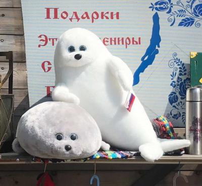 Листвянка, Байкал и музей Тальцы за 1 день - 5