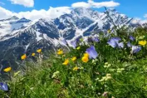 Экодень в окрестностях Нальчика Экодень в окрестностях Нальчика