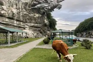 В высокогорный Цей — из Владикавказа - 11