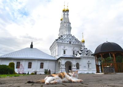 Уездный город Вязьма (на вашем автомобиле) - 3
