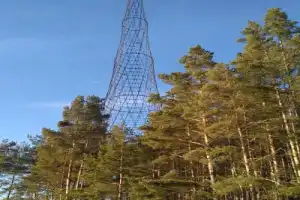 Из Нижнего Новгорода  — в Гороховец - 12