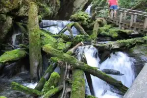 По Телецкому озеру на катере с прогулкой к водопадам - 12