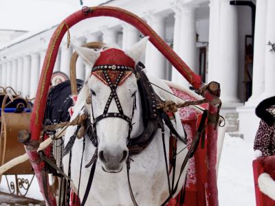 По Суздалю на санях да на карете!