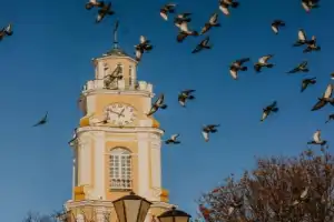 Прогулка по сердцу Витебска Прогулка по сердцу Витебска