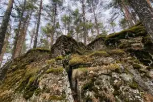 С лесником урочища Чёртов стул — по заповедным тропам - 8