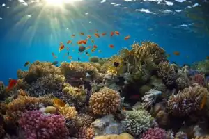 Морская прогулка на лодке с прозрачным дном - 10