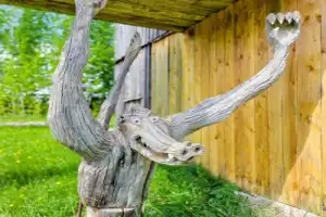 Кудымкар из Перми: в гости к коми-пермякам и деревянным чудикам - 2