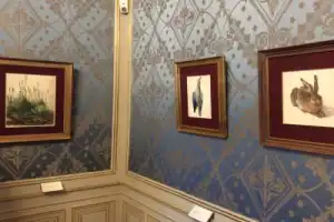 Искусство модернизма в галерее Альбертина - 19