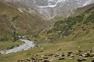 Безенгийское ущелье — «малые Гималаи» Кавказа - 2