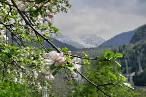 От города к вершинам: Алматы и «Медео» - 23