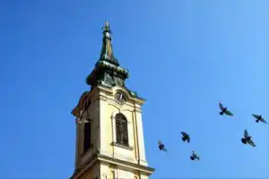 Земун вдоль и поперёк - 5