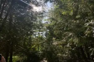 Из Казани — к Голубым озёрам, заповеднику и монастырю среди деревьев Из Казани — к Голубым озёрам, заповеднику и монастырю среди деревьев