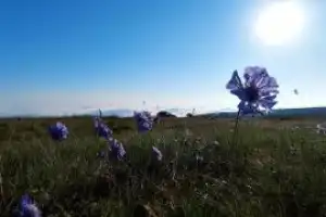Экодень в окрестностях Нальчика - 29