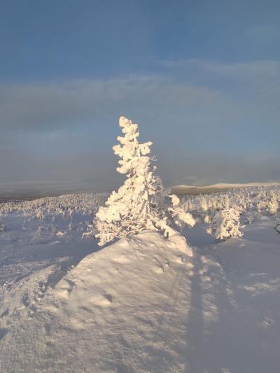 Фотоэкспедиция «Сказка Южного Заполярья» - 5