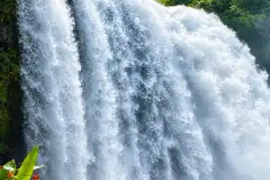Горный Баолок: водопады, чайные плантации и монастырь Батнья - 11