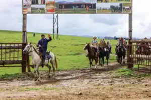 Джип-тур в горах Карачаево-Черкесии: выходные с конной прогулкой, дегустациями и вечерами у костра Джип-тур в горах Карачаево-Черкесии: выходные с конной прогулкой, дегустациями и вечерами у костра