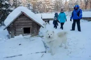 10 чудес Карелии за 2 дня - 9