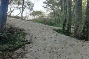 Зеленоградск — город-курорт! - 12