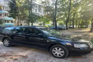 Беловежская пуща: по дороге к наследию предков — из Бреста - 8