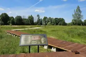 Из Смоленска — в музей-заповедник Гнёздово (на вашем автомобиле) - 12