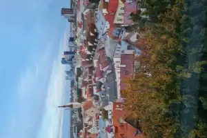 Таллинские были и небыли: экскурсия для детей 7–15 лет - 6