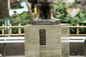 Токио глазами полукровки - 2