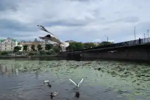 Выборг: город из другого измерения (в мини-группе) - 4