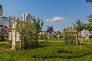 О Грозном — с интересом и любовью - 9