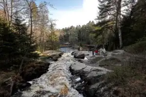 Из Сортавалы — к лесным водопадам и месторождению граната - 11