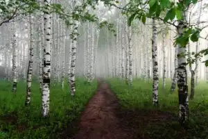Первая встреча с Кировом - 4