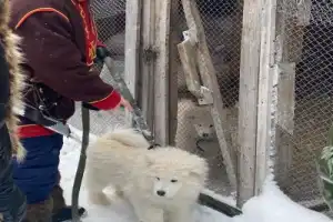 Из Мурманска в деревню саамов - 2