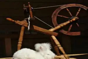 «Искусное веретено»: мастер-класс по прядению в Вологде - 7