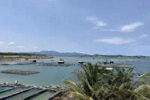 Аутентичный Южный Вьетнам + обед в бухте - 7