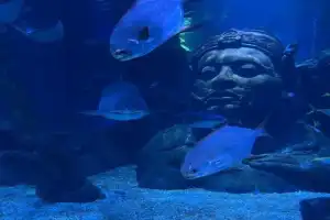 Бангкок с профессиональным гидом (всё включено) - 18