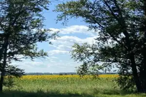 Из Самары — в замок Гарибальди - 2