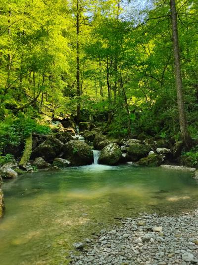 Топ-места Осетии: Даргавс, Мидаграбинские водопады и качели над пропастью - 13