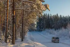 Остров Риеккалансаари — от тайги до лесотундры - 20