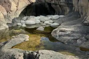 Время Севера: Териберка, киты и морские деликатесы - 2