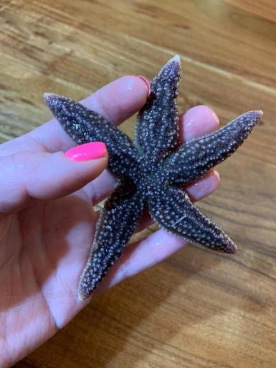 Териберка — вечное сияние чистого Севера (в группе) - 12