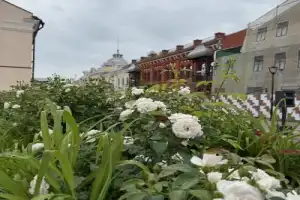 Все грани Тулы за три часа - 10