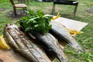 По дороге с облаками: Северное Приэльбрусье — Малый Бермамыт — Хасаут — Джилы-Су - 9