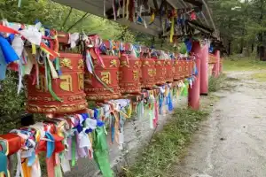 Байкал зовёт в гости: Иркутск, Малое Море, Листвянка, Ольхон и КБЖД - 7