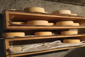 Открыть Черногорию - 10