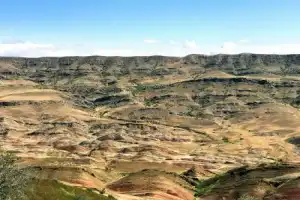 Монастырь Давид-Гареджа: групповая экскурсия - 4
