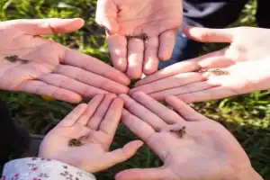 Театрализованный квест «В поисках пропавших сокровищ»