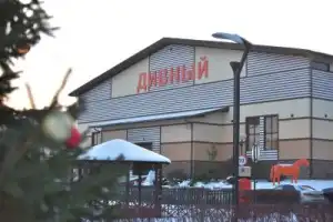 Танки, кони, звери: обзорная экскурсия по конному клубу и чаепитие - 3